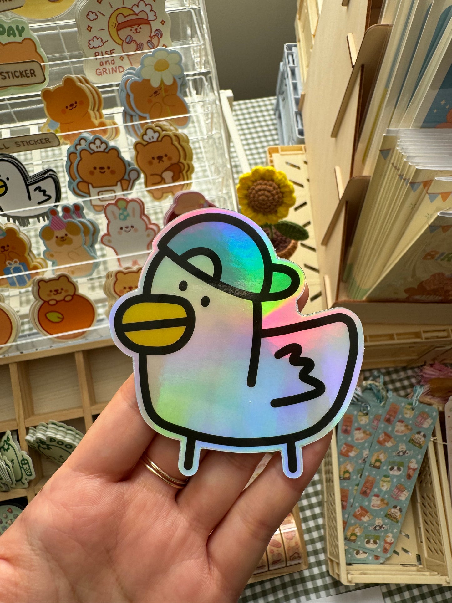 Holographic duck with hat