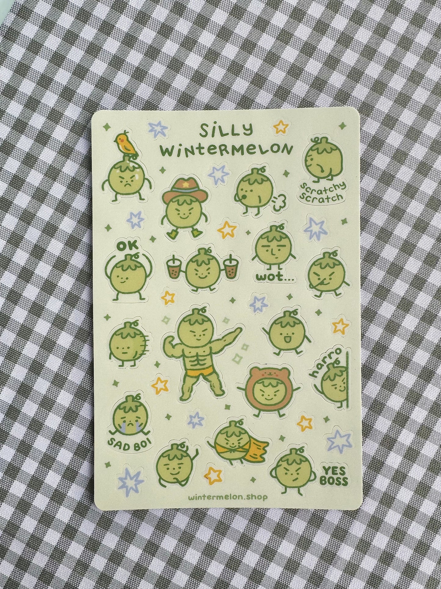 Silly wintermelon sticker sheet