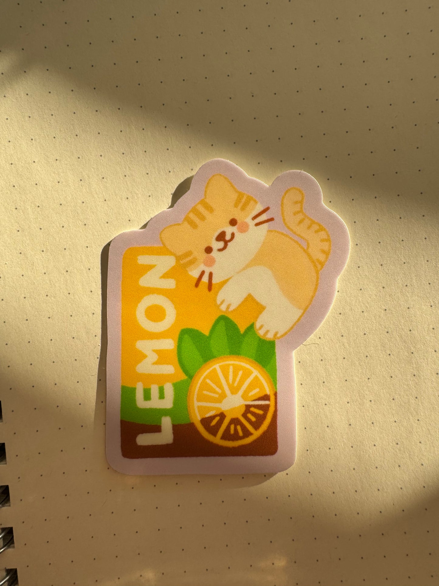 Lemon tea kitty