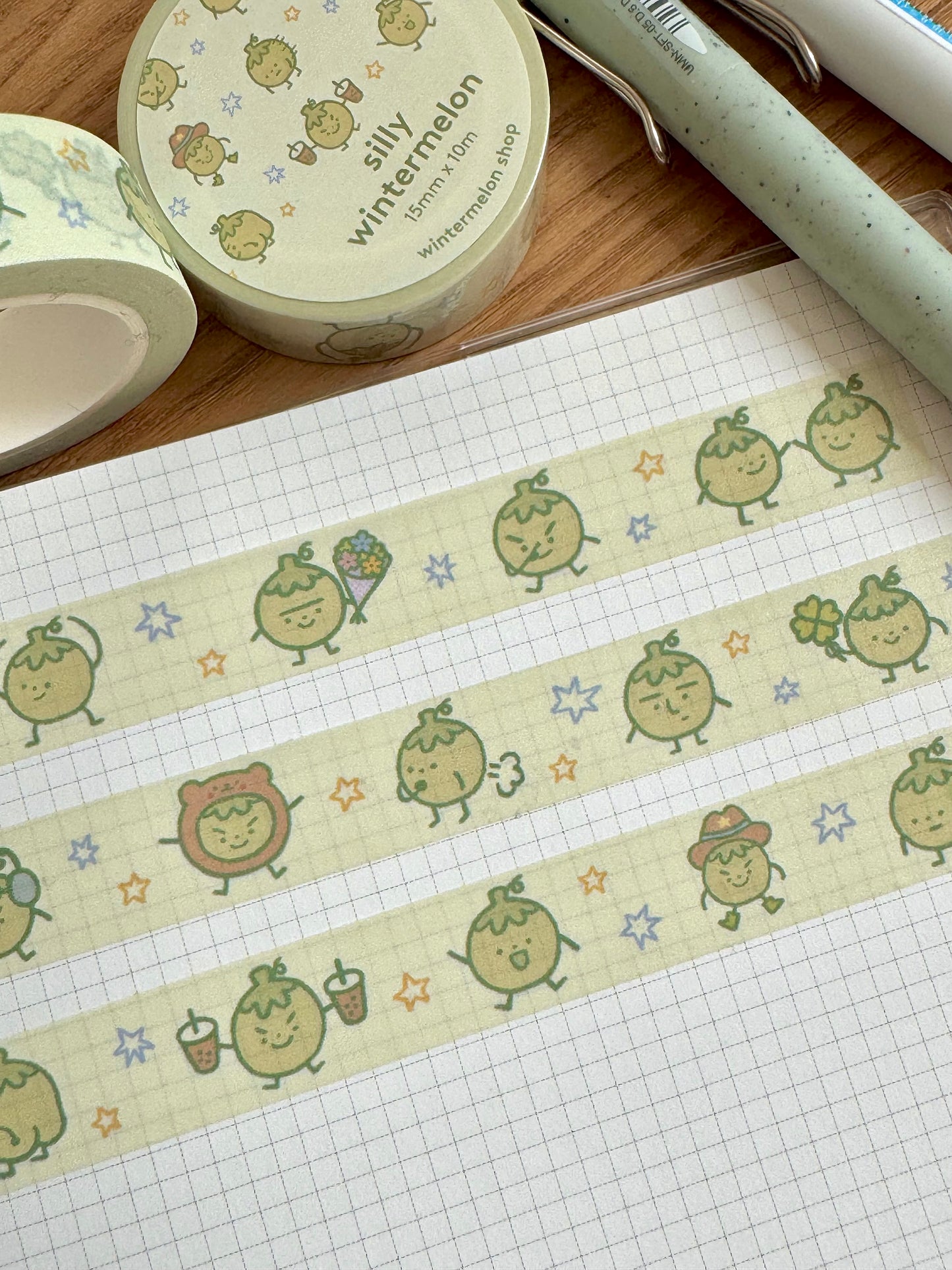 Silly wintermelon washi tape